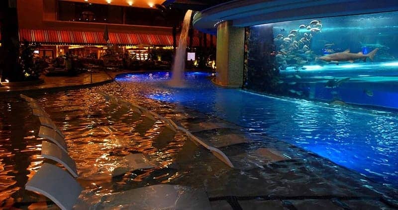 The Tank Pool at Golden Nugget 1