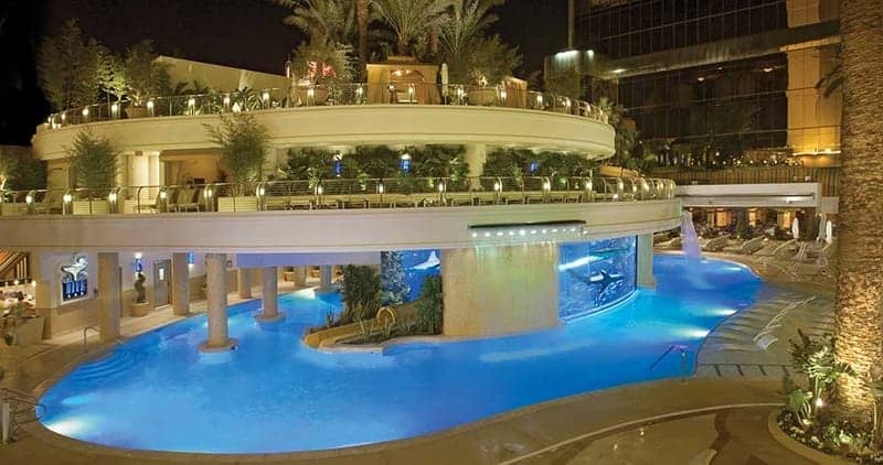 The Tank Pool at Golden Nugget 2