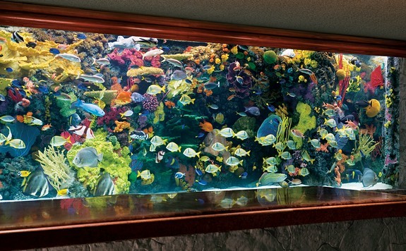 The Aquarium at Mirage Hotel