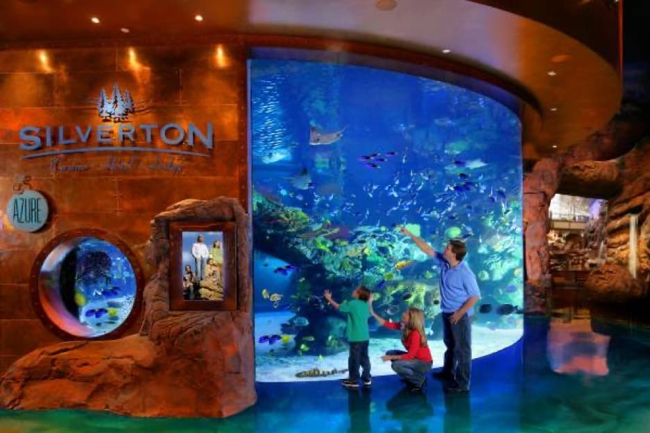 The Aquarium at the Silverton Hotel